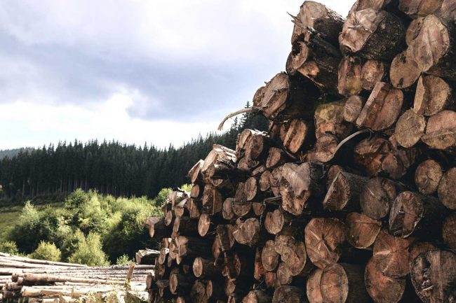 htca-dasokomeia-2100